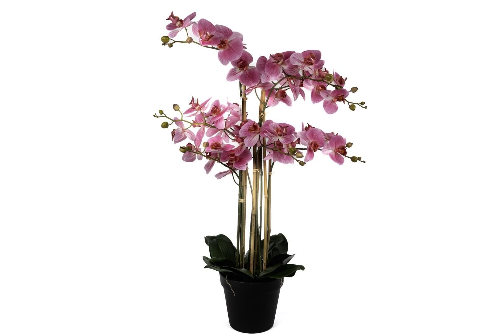 Pebme 8li Yapay Orkide 110cm