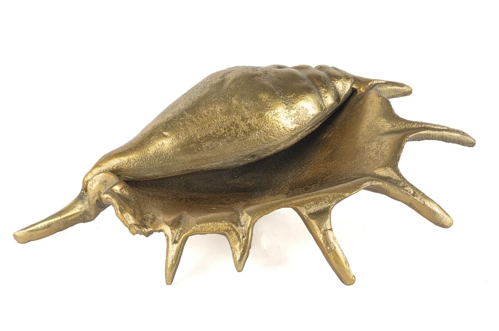 Gold Deniz Kabuğu Obje 33x20x10