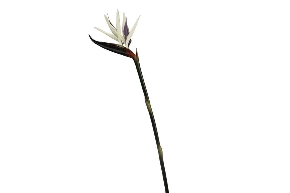 Mor Beyaz Starliçe Yapay Çiçek 94cm