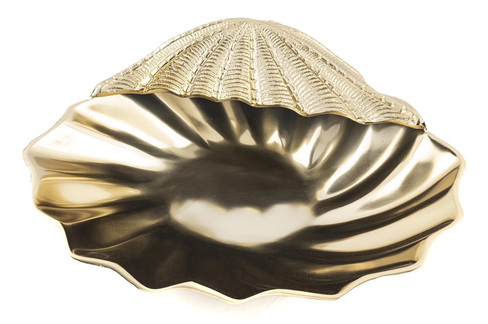 Gold İstiridye Dekoratif Obje 40x35x14cm