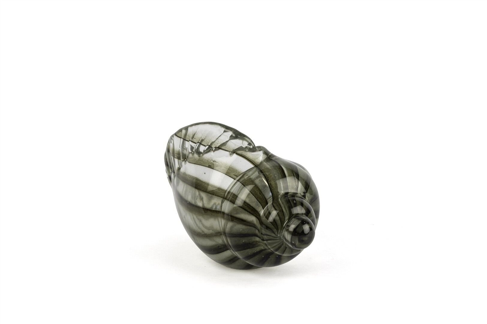 Yeşil Çizgili Dek Deniz Kabuğu 12x25x16cm
