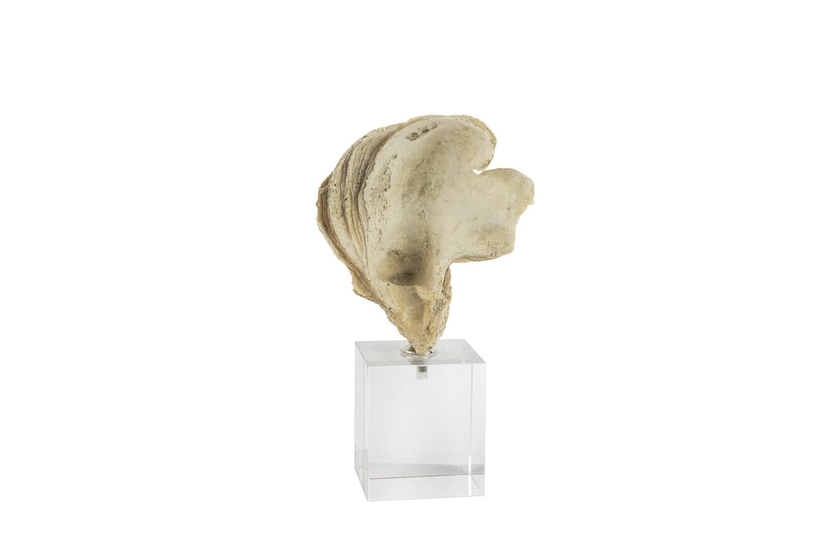 Şeffaf Kaideli Coral Dekor Obje 7x22cm
