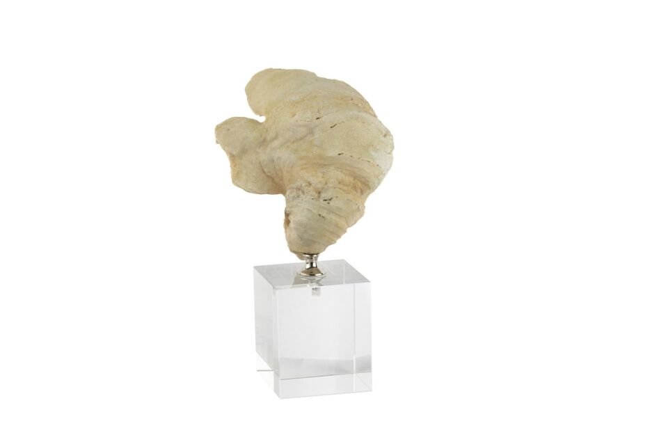 Şeffaf Kaideli Coral Dekor Obje 7x22cm