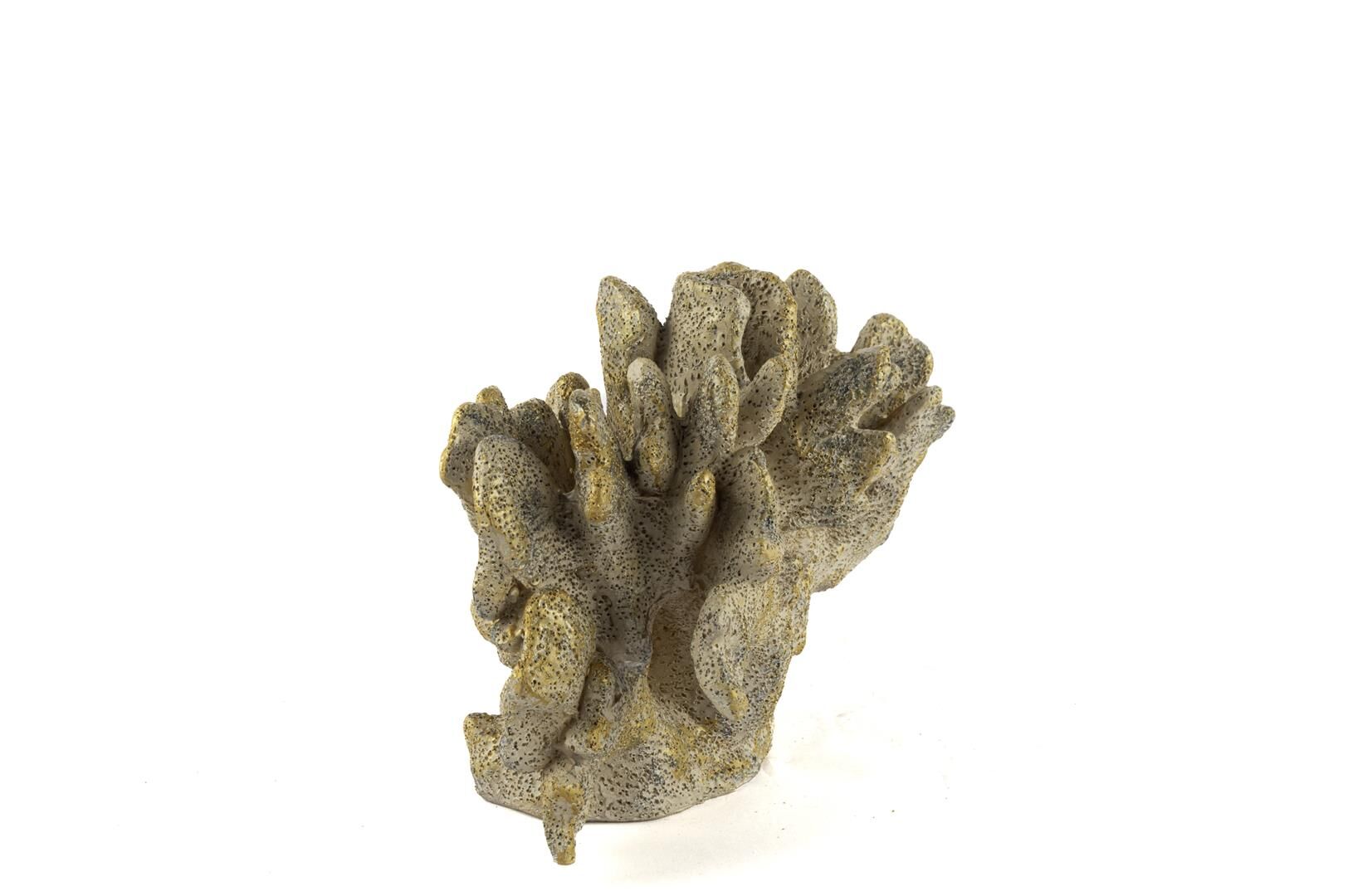 Gold Mercan 22x13x15cm