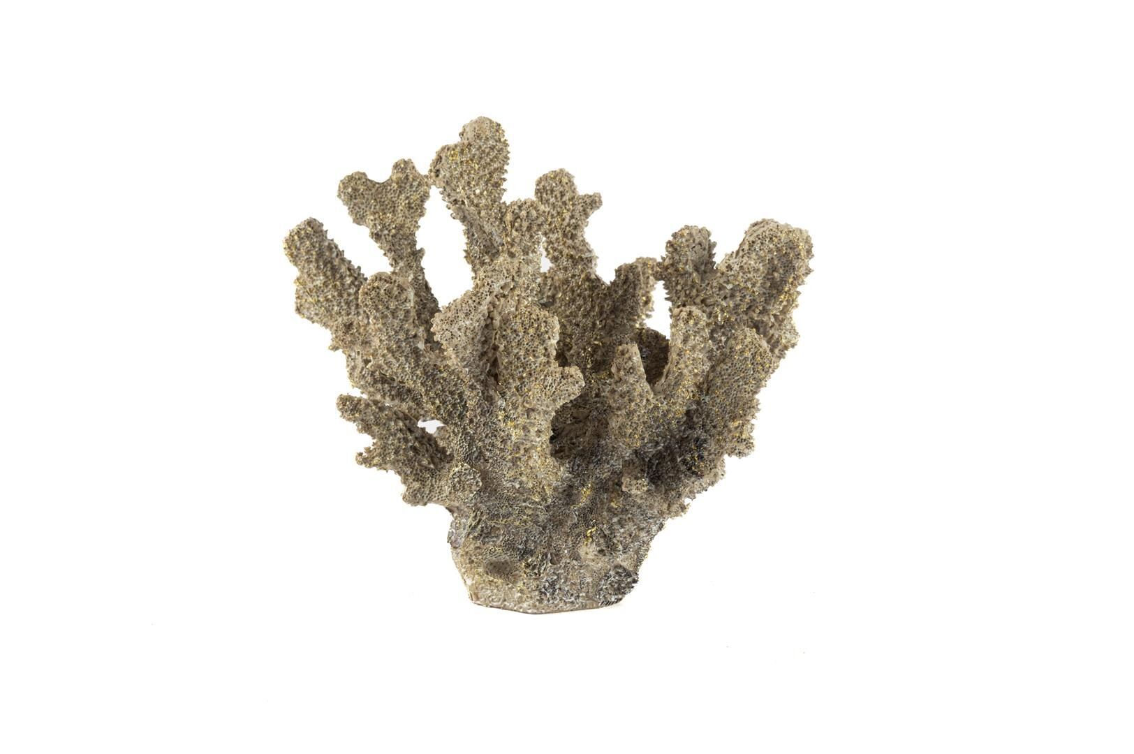 Gold Mercan 17x17cm