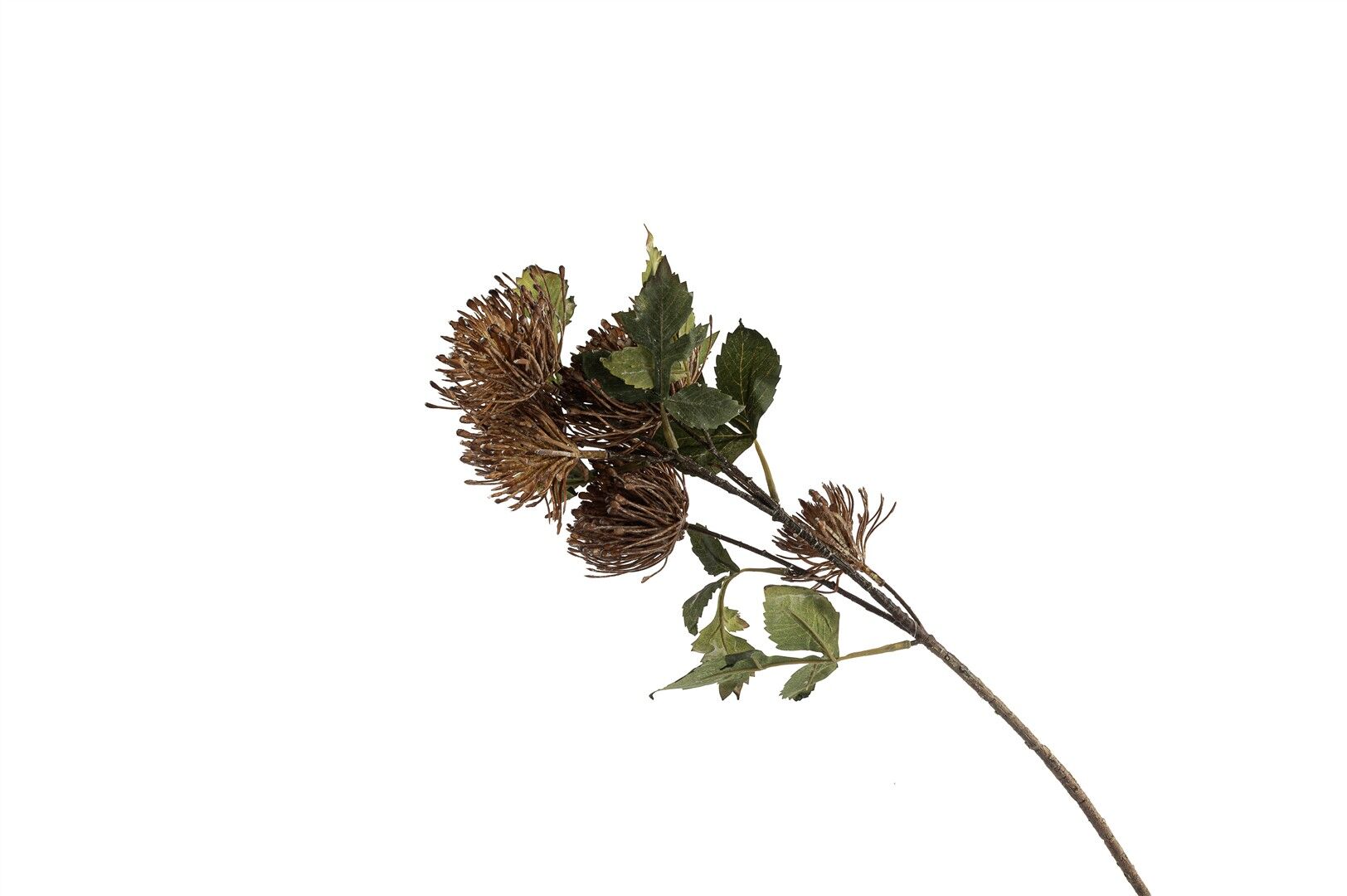 Leucospermum Kahve Yapay Çiçek 79cm